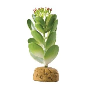 EXO TERRA PLANTA JADE CACTUS PT2984