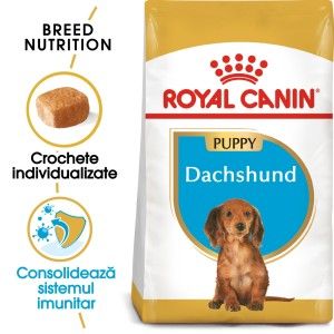 Royal Canin Dachshund Puppy, 1.5 kg - sac