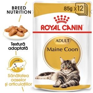 Royal Canin Maine Coon, 12 x 85 g - plic