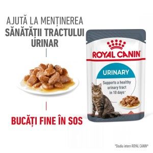 Royal Canin Urinary Care Adult hrana umeda pisica, sanatatea tractului urinar (in sos), 85 g