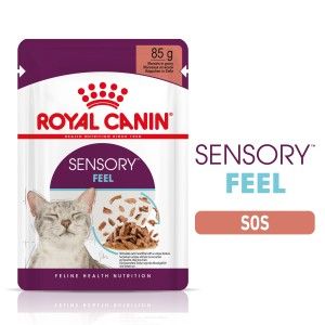 Royal Canin Sensory Feel, hrana umeda pisici, stimularea simtului tactil (in sos), 12 x 85 g