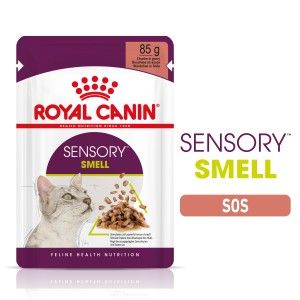 Royal Canin Sensory Smell, hrana umeda pisica (in sos), 12x85 g - plic