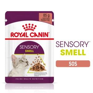 Royal Canin Sensory Smell, hrana umeda pisici, stimularea mirosului (in sos), 85 g (Hrana Umeda - Pisici)