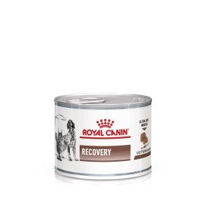 ROYAL CANIN Recovery, dieta veterinara caini si pisici, convalescenta, 195 g (Diete Veterinare - Pisici)