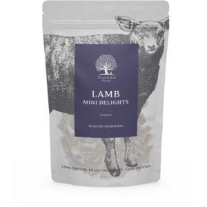 Recompense caini, Essential Mini Delights Miel, 100 g (Delicii - Caini)