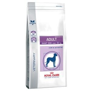 Royal Canin Adult Giant Dog, 14 kg