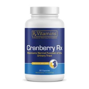 RX Cranberry sustine tractusului urinar la caini si pisici