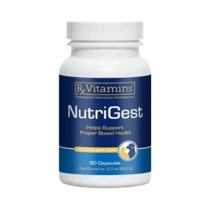 RX NutriGest 90 capsule reface flora intestinala