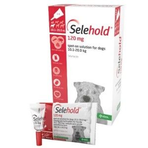 Selehold Dog 120 mg  ml (10.1 - 20 kg), 3 x 1 ml