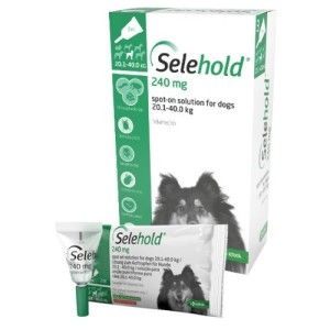 Selehold Dog 240 mg  ml (20.1 - 40 kg), 3 x 2 ml