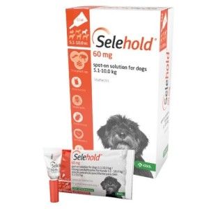 Selehold Dog 60 mg  ml (5.1 - 10 kg), 3 x 0.5 ml