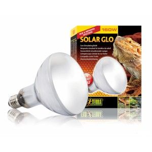 BEC EXO TERRA SOLAR GLO 160 W PT2193