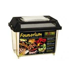 Terariu Plastic Hagen Exo Terra Faunarium Small