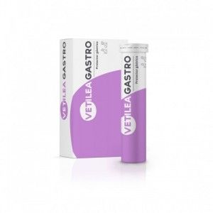 VETILEA GASTRO, 112 tablete