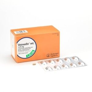 Vetmedin 1.25 mg, 100 comprimate masticabile, caini (PRESCRIPTIE NECESARA)