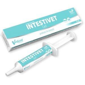 INTESTIVET Gel, 15 ml