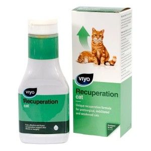 Viyo Recuperation Cat, 150 ml (OTC)