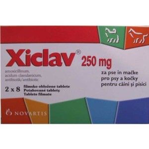 XICLAV 250 mg 16 tablete antibiotic pentru caini si pisici