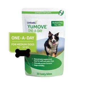 YuMOVE One-A-Day for Medium Dogs, 30 comprimate