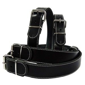 Zgarda Pet Expert Clasic 3,0x62 Cm Negru Nr.7