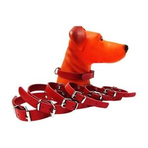 Zgarda Pet Expert Clasic 1,2x33 Cm Rosu Nr.1