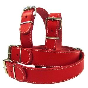 Zgarda Pet Expert Clasic 3,5x70 Cm Rosu Nr.8