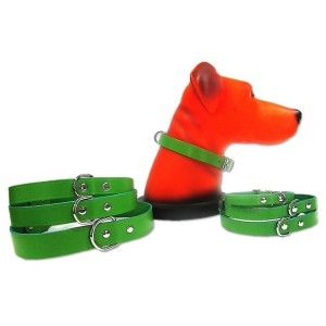 Zgarda Pet Expert Clasic 2,0x50 Cm Verde Nr.5