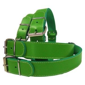 Zgarda Pet Expert Clasic 3,0x62 Cm Verde Nr.7