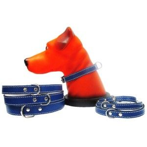 Zgarda Pet Expert Pasla 1,2x33 Cm Albastru Nr.1