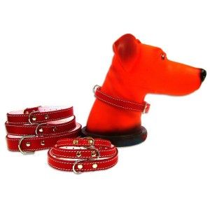 Zgarda Pet Expert Pasla 2,0x50 Cm Rosu Nr.5