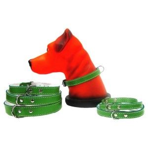 Zgarda Pet Expert Pasla 1,0x27cm Verde Nr.0