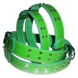 Zgarda Pet Expert Tinte 4,0x78 Cm Verde Nr.9