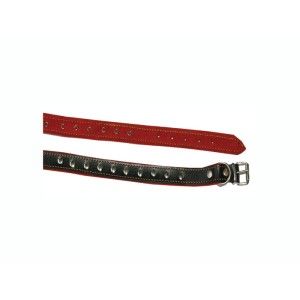 Zgarda caine tip D 53 cm