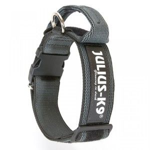 Zgarda K9 nylon cu maner, 40 mm, gri