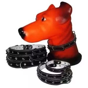 Zgarda Pet Expert Capse 1,4x37 cm