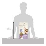PURINA CAT CHOW Sensitive, Somon, 1.5 kg - size