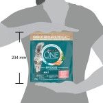 ONE ADULT Cat Salmon&WhlG 10x450g RO