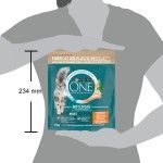 ONE ADULT Cat Chicken 10x450g RO