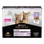 PURINA PROPLAN JUNIOR NUTRISAVOUR, Terina cu Curcan, 10 x 75 g (Hrana Umeda - Pisici)