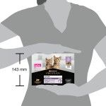 PURINA PROPLAN JUNIOR NUTRISAVOUR, Terina cu Curcan, 10 x 75 g (Hrana Umeda - Pisici)