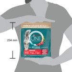 ONE STERILCAT Beef&Wheat 10x450g XG