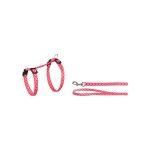 HAM + LESA PISICA AMSI PINK 20-35 CM 10MM/560935.P (Hamuri)