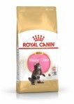 Royal Canin Maine Coon Kitten hrana uscata pisica junior, 2 kg 