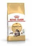 Royal Canin Maine Coon Adult hrana uscata pisica, 10 kg 