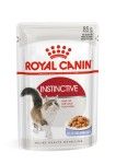 Royal Canin Instinctive Adult hrana umeda pisica (aspic), 85 g