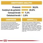 Royal Canin Chihuahua Puppy hrana uscata caine junior, 500 g