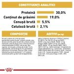 Royal Canin Poodle Adult hrana uscata caine, 1.5 kg