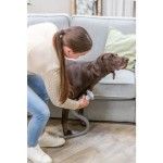 Trixie Aparat de Tuns Animale de Companie cu Aspirator, 2 L (Igiena - Caini)