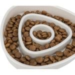 Trixie castron plastic pentru hranire lenta, 0.35 L/ 15x15 cm (Castroane)