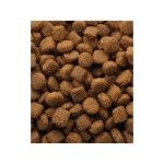 Hrana uscata caini, Versele-Laga Oke Classic Lamb & Rice, 20 kg (Hrana Uscata - Caini)